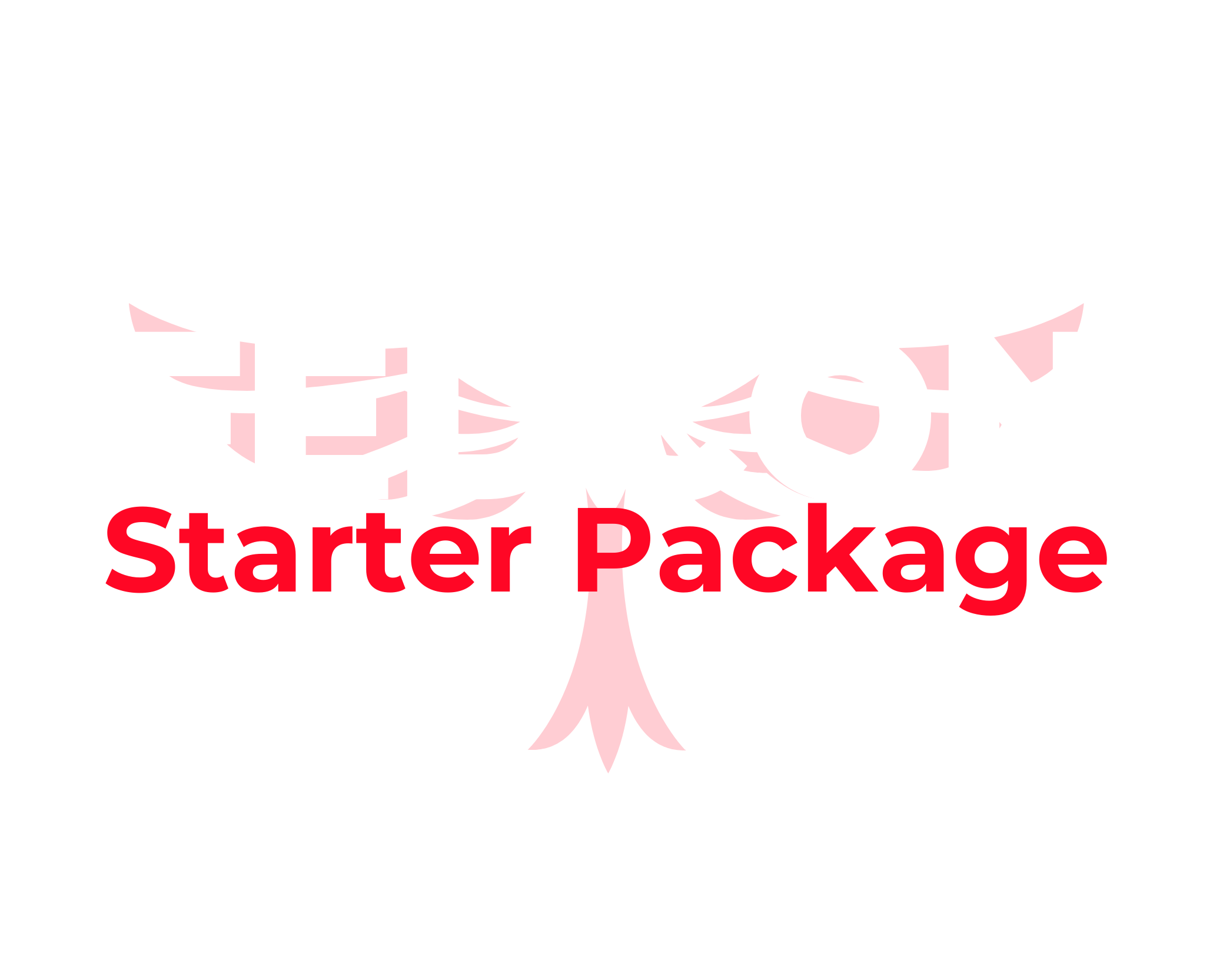 Fedcon starter package